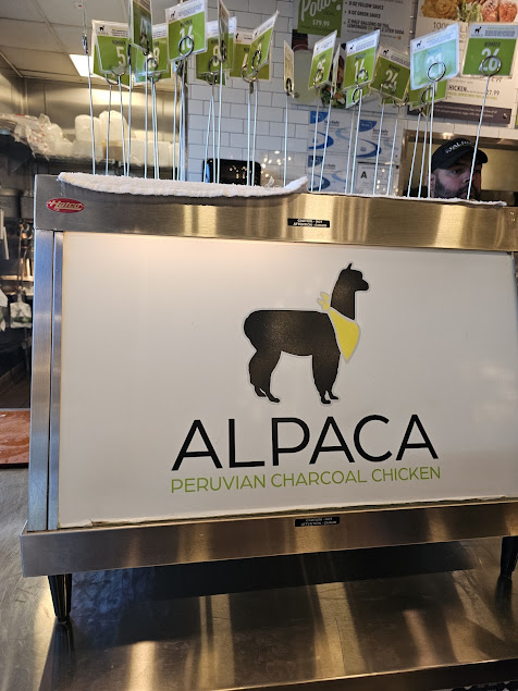 Photo Alpaca Chicken - 13